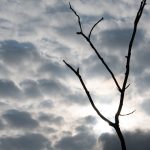 Wetteraussichten: Unbeständiges und wechselhaftes Wetter erwartet