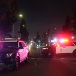 Vorfall in Los Angeles: Dutzende Verletzte nach Fahrt in Menge in Hollywood