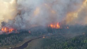 Waldbrände in Kanada verwüsteten in diesem Jahr schon Fläche von Größe Kroatiens