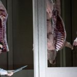 Musik: "Pénélope"-Premiere in München: Oper in Zeitlupe