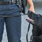 Potsdam-Eiche: Polizei lädt zum Tag der offenen Tür