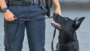 Potsdam-Eiche: Polizei lädt zum Tag der offenen Tür