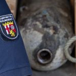 Riskante Blindgänger: Gefahr in der Erde: viele Einsätze für Kampfmittelräumdienst