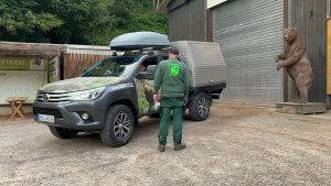 Problembärin: Wildbärin Gaia im Bärenpark angekommen