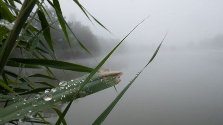 Wetter: Wolken, Regen und Gewitter zum Wochenbeginn