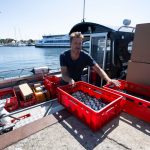 Sommerserie Urlaubsmacher: Tourismusbranche: Ohne ausländische Verstärkung geht nichts