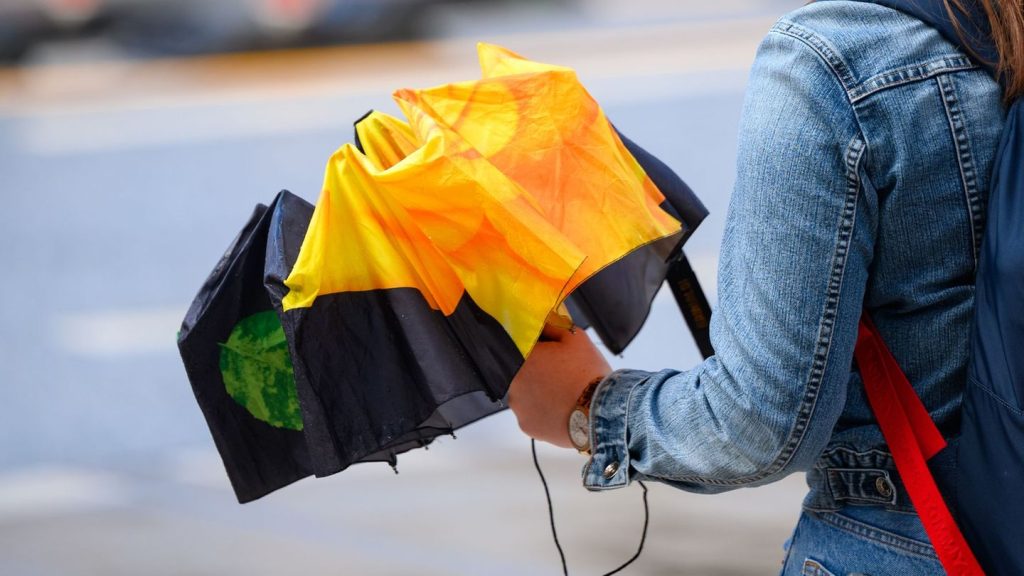 Wetter: Gewitter, Sonne, Regen – Wetter im Norden bleibt wechselhaft