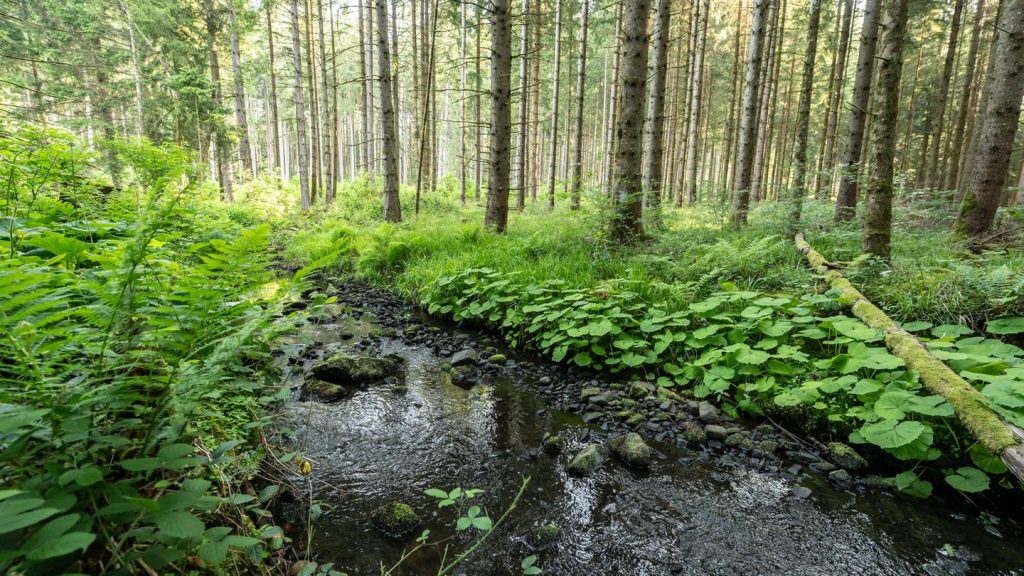Wasserstände: Enzkreis verbietet Wasserentnahme aus Gewässern