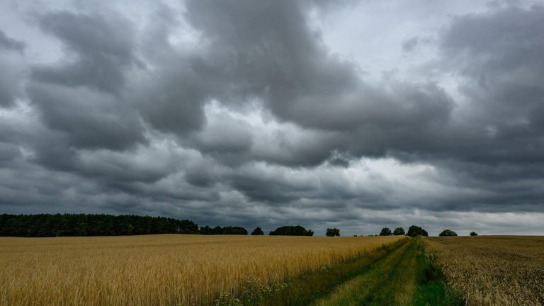 Wettervorhersage: Weitere Gewitter in Berlin und Brandenburg erwartet