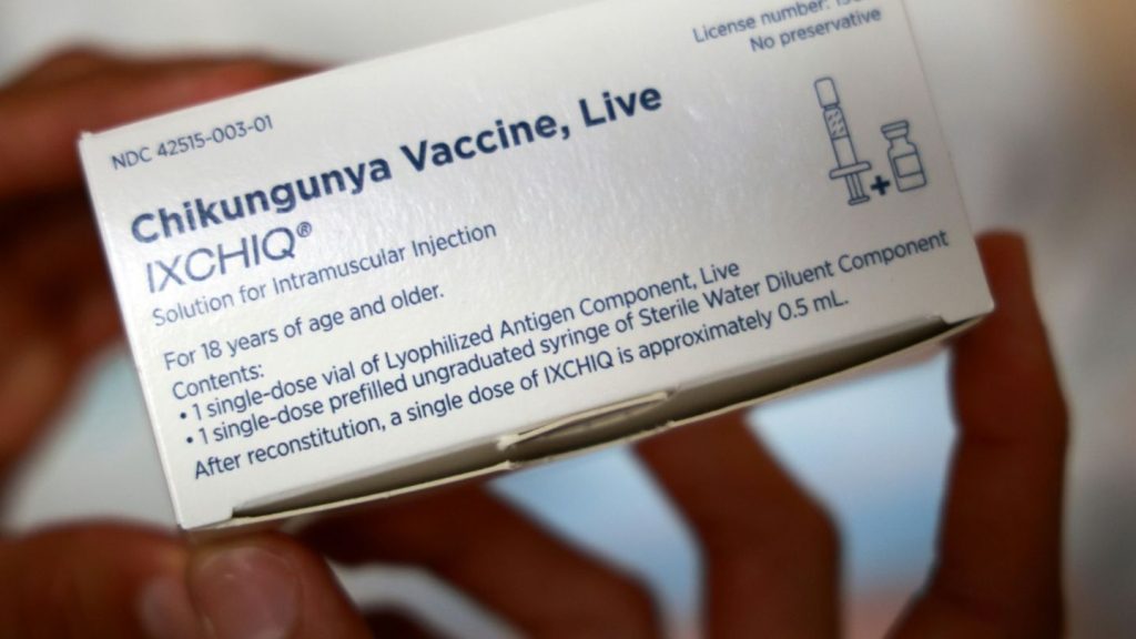 WHO warnt vor Risiko einer weltweiten Chikungunya-Epidemie