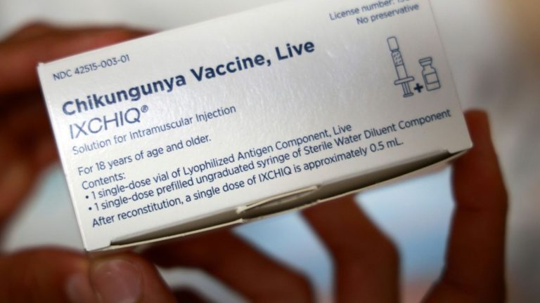 WHO warnt vor Risiko einer weltweiten Chikungunya-Epidemie