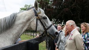 König Charles III. und Königin Camilla: Royals besuchen englische Pferde-Metropole