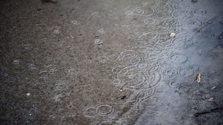 Wetter: Starkregen in MV - nur wenige Unfälle gemeldet