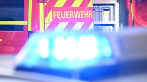 Ursache unklar: Dutzende Schweine sterben bei Lkw-Brand - A7 gesperrt