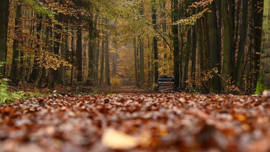 Freizeit: Ab ins Grüne: Auf Entdeckungstour in Hessens Naturparks