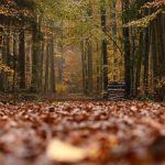Freizeit: Ab ins Grüne: Auf Entdeckungstour in Hessens Naturparks