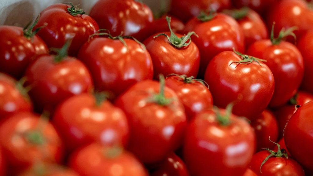 Ernährung: Verbrauch von Tomaten deutlich gesunken