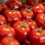 Ernährung: Verbrauch von Tomaten deutlich gesunken