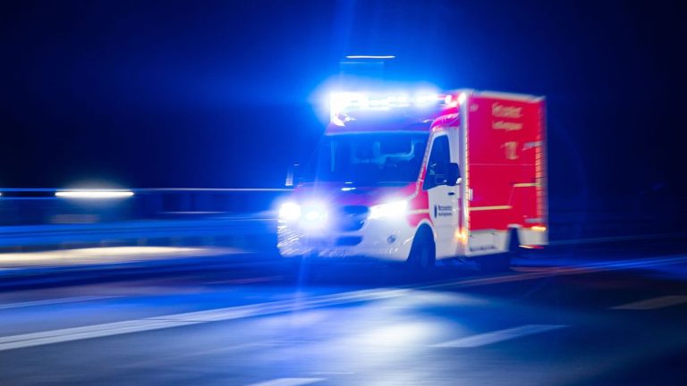 Polizei sucht Zeugen: Auto kracht gegen Baum - 83-Jähriger stirbt