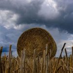 Wetter: Schauer und Gewitter in Berlin und Brandenburg