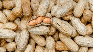 Allergie: Bluttest könnte Wirksamkeit von Erdnuss-Therapie vorhersagen