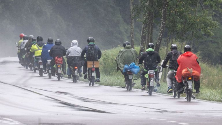 Regenwetter: Sommerfeeling? Fehlanzeige - Es bleibt nass im Südwesten