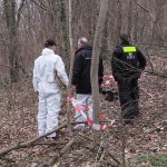 Ungeklärter Kriminalfall: Oberschenkel-Fund in Park - Fall bei "Aktenzeichen XY"