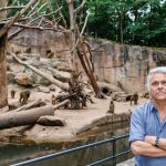 Getötete Paviane: Tiergarten: Tötung der Paviane keine einmalige Aktion