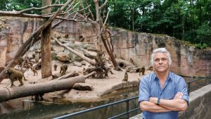 Getötete Paviane: Tiergarten: Tötung der Paviane keine einmalige Aktion