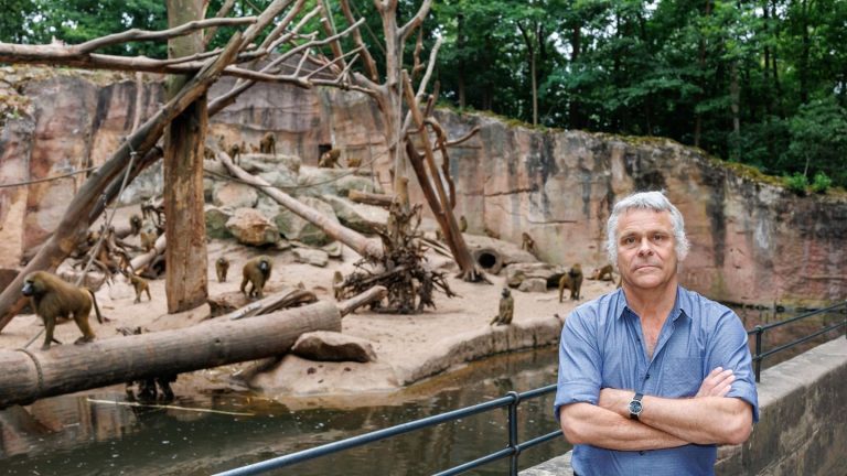 Getötete Paviane: Tiergarten: Tötung der Paviane keine einmalige Aktion