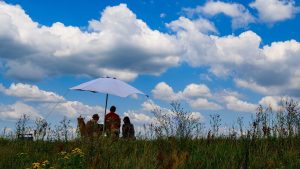 Wetter: Sonnenschein in Berlin und Brandenburg - aber auch Gewitter