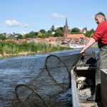 Handwerkskunst: Weniger als ein Dutzend Berufsfischer auf der Elbe im Norden