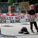 Zootiere: Mehr als 100 Strafanzeigen nach Pavian-Tötung in Nürnberg