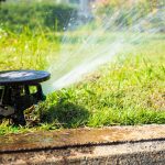 Wasser marsch!: So bewässert man Garten und Gemüsebeete smart und präzise
