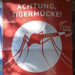 Gefährliches Virus: WHO warnt vor Risiko einer weltweiten Chikungunya-Epidemie