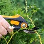 Sommersaison: Fiskars Gartenschere günstig wie nie: Garten-Angebote am Dienstag