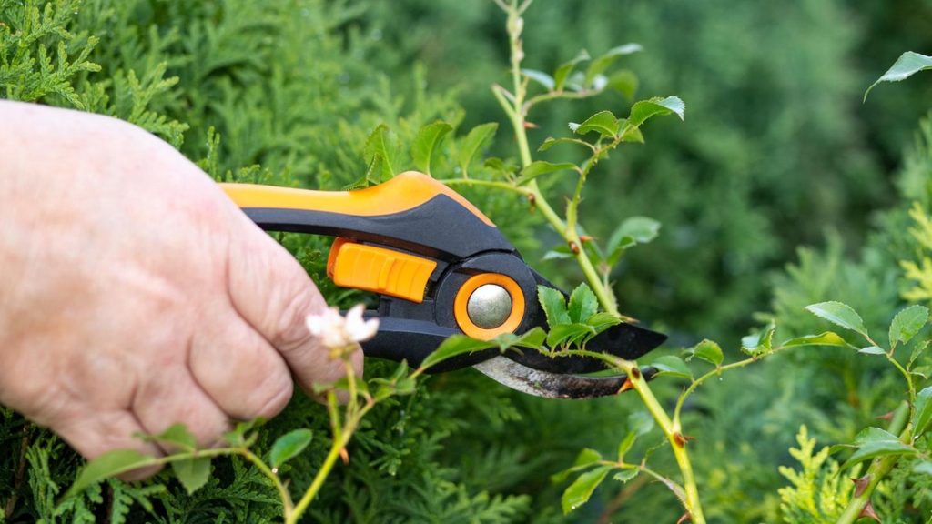 Sommersaison: Fiskars, Einhell und Substral: Garten-Angebote am Wochenende