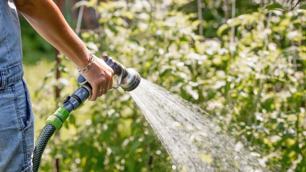 Sommersaison: Gartenbrause von Gardena zum heißen Preis: Garten-Angebote am Dienstag
