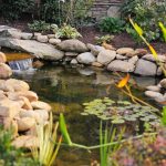Gartenpraxis: Gartenteich anlegen – So wird Ihr Außenbereich zur grünen Oase