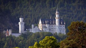 Verstoß gegen Tierschutz: Frau sperrt Hund am Schloss Neuschwanstein in Schließfach