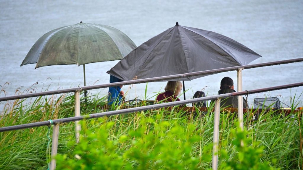 Wetter in Deutschland: Zum Wochenstart gibt es vor allem: Regen. Karte zeigt, wo es besonders nass wird