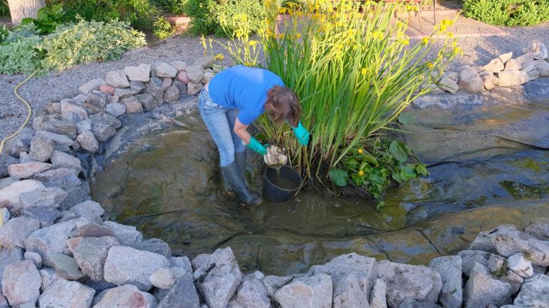 Biologisch: Teichschlamm entfernen ohne Sauger: So schützen Sie Flora und Fauna