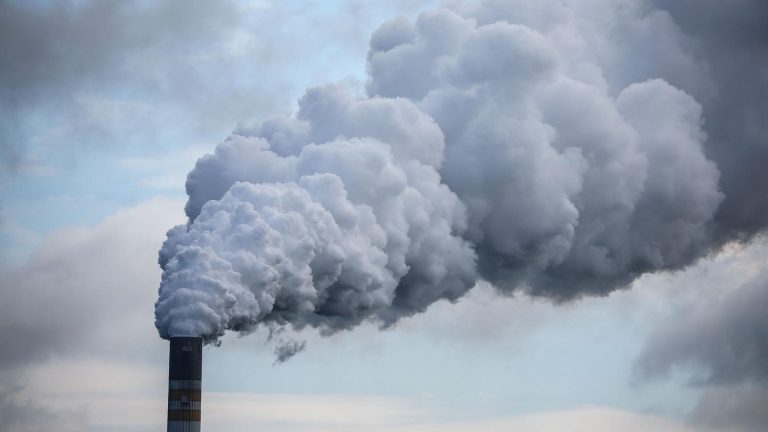 Klimawandel: US-Umweltbehörde: Treibhausgase sollen nicht mehr als gesundheitsschädlich gelten