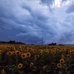 Wetter in Deutschland: Starkregen und Gewitter in Dauerschleife – Karte zeigt, wo es stürmt