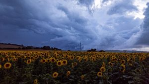 Wetter in Deutschland: Starkregen und Gewitter in Dauerschleife – Karte zeigt, wo es stürmt