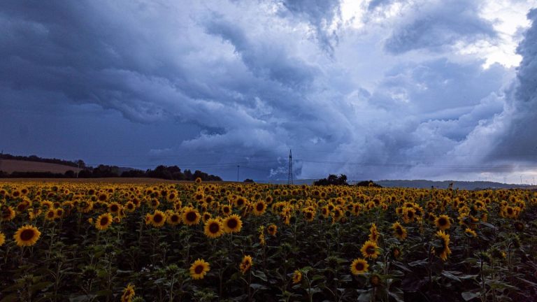Wetter in Deutschland: Starkregen und Gewitter in Dauerschleife – Karte zeigt, wo es stürmt