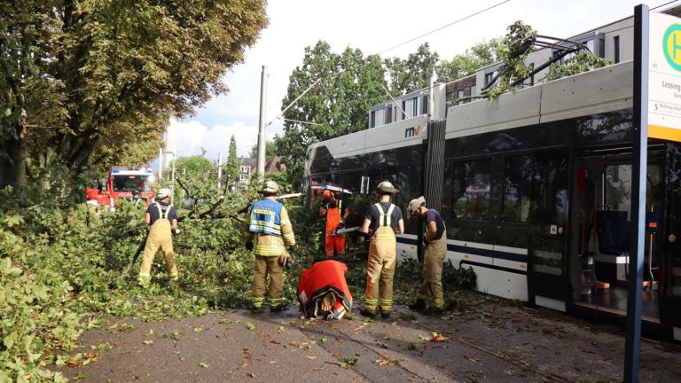 Viele Einsätze: Unwetter lässt Bäume umstürzen - Straßen unter Wasser