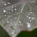 Wettervorhersage: Neue Woche wird in NRW zunehmend wärmer