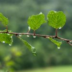 Tief Karlheinz: Wetter in Hessen bleibt wechselhaft
