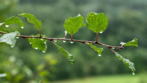 Tief Karlheinz: Wetter in Hessen bleibt wechselhaft